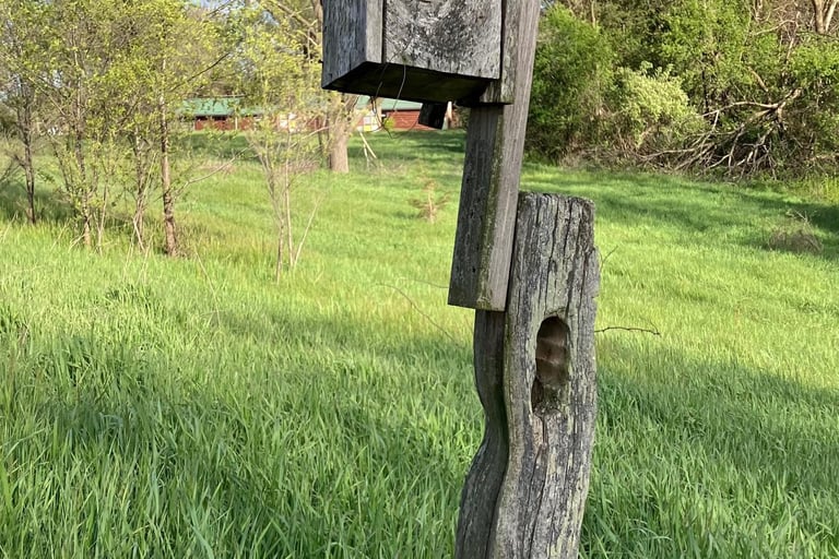 A birdhouse along side a road in Montello, Wisconsin