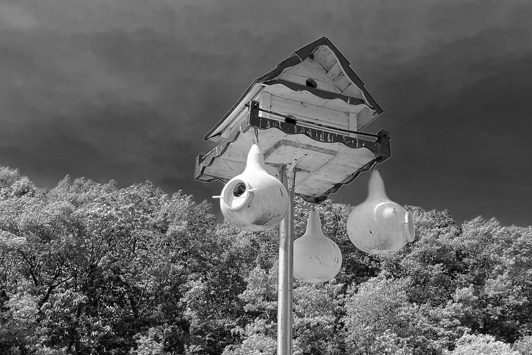 A birdhouse at the Montello dam.