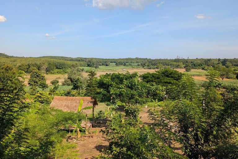 View from cottage balcony overlooking orchard, fields and distant hills under a blue sky
