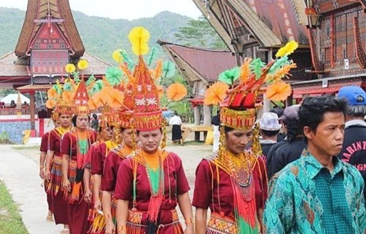 Toraja cultural tour