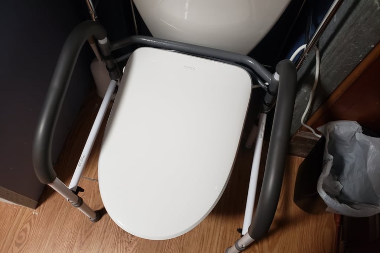 Bidet and safety bars