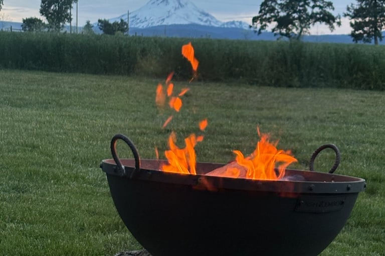 a fire pit with a mountain in the background