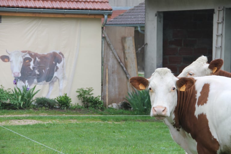 Une vache regarde une autre vache en peinture sur une façade