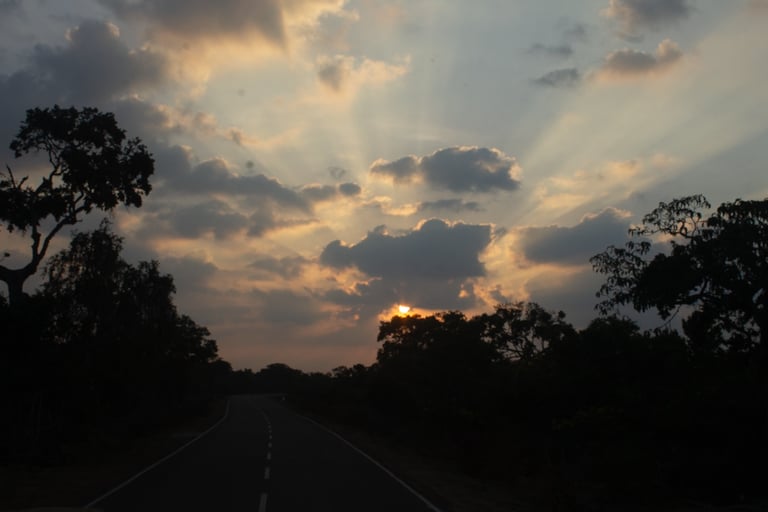 Golden sunbeams breaking through clouds at sunset over a winding asphalt road lined with dark silhouetted trees.