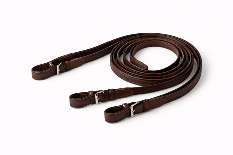 Leather horse reins for riding.