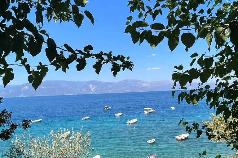 a beach great blue colors, tree leaves