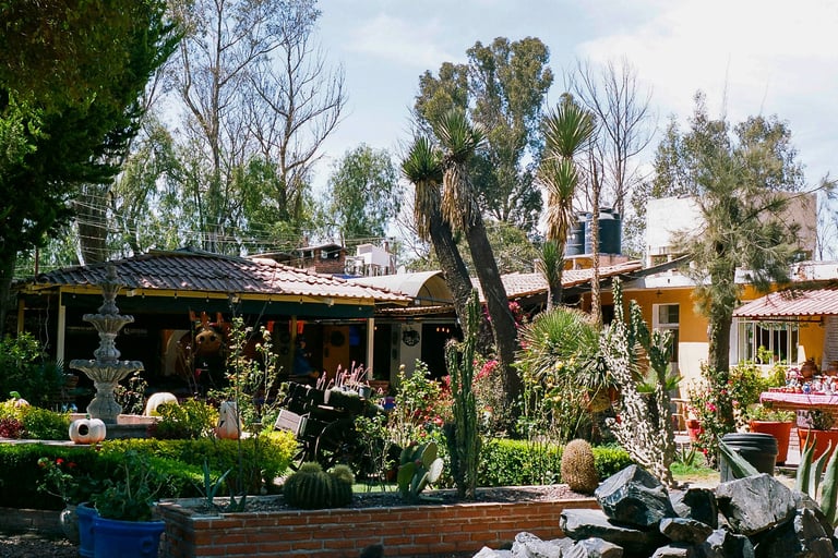 a traditional mexican house with a cactus garden in front