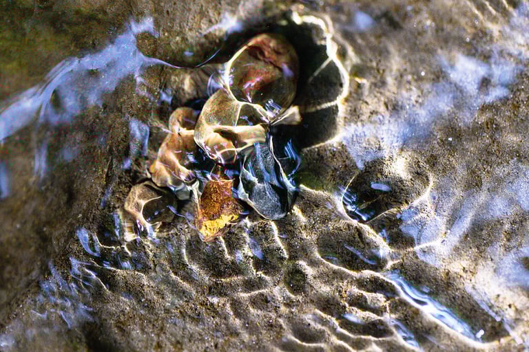 Eau et lumière Pyrénées