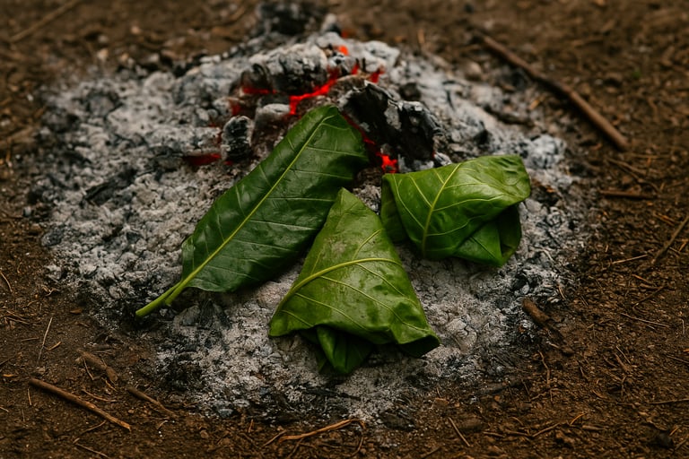 Leaves wrapping cooked food on fire coals for primitive outdoor survival cooking