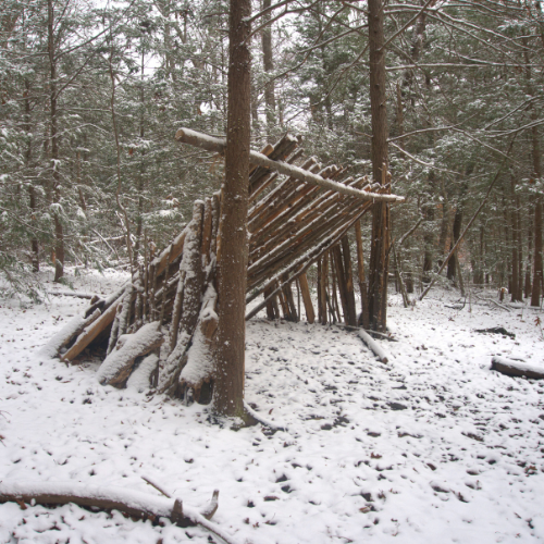 Lean-to shelter in snowy pine forest, winter bushcraft structure and cold survival
