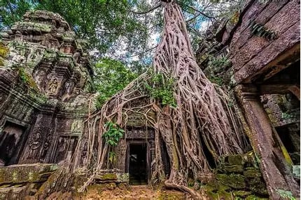 Ta phrom Temple
