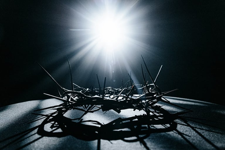 a crown of thorns crown of thorns crown of thorns crown of thorns crown of thorns