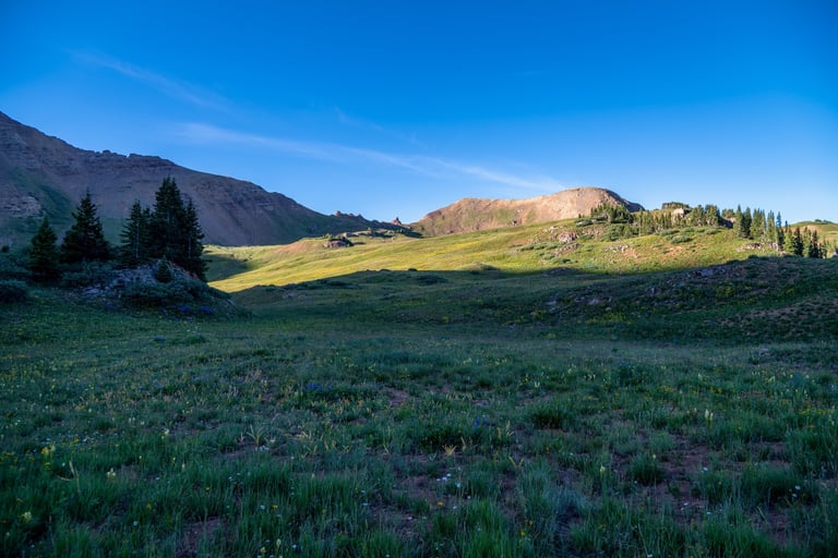 Wildflowers and high alpine grasses below mountain ridges at sunrise