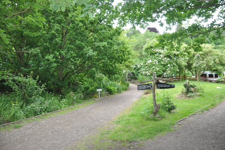 View of Westbury Wildlife park main paths