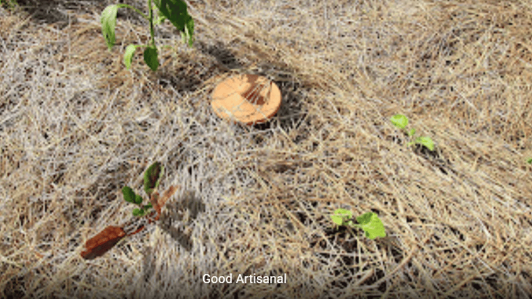 Jardin potager en butte (permaculture)