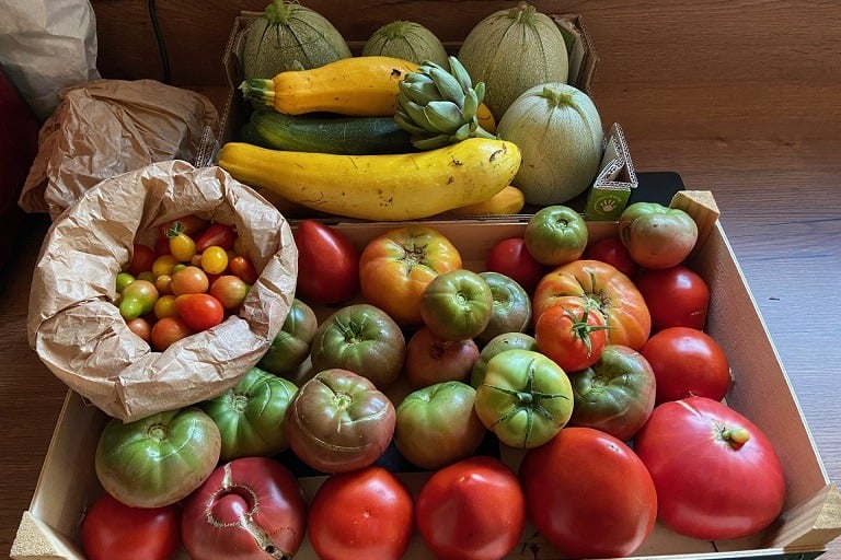 Récoltes de fruits et légumes