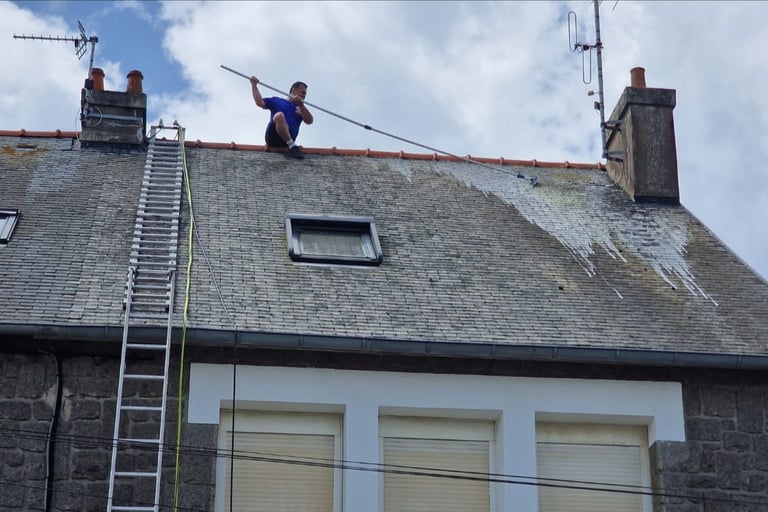 nettoyage toiture DINAN 22100