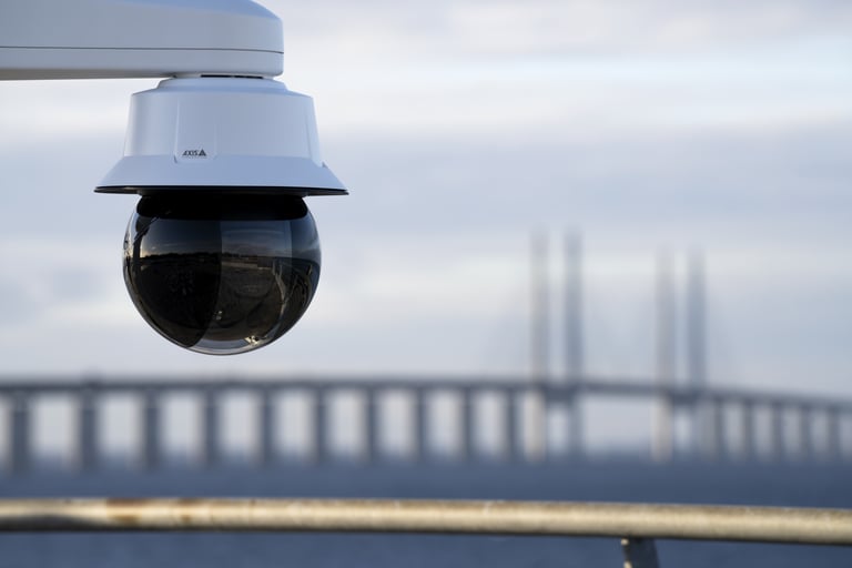 Network-based video surveillance