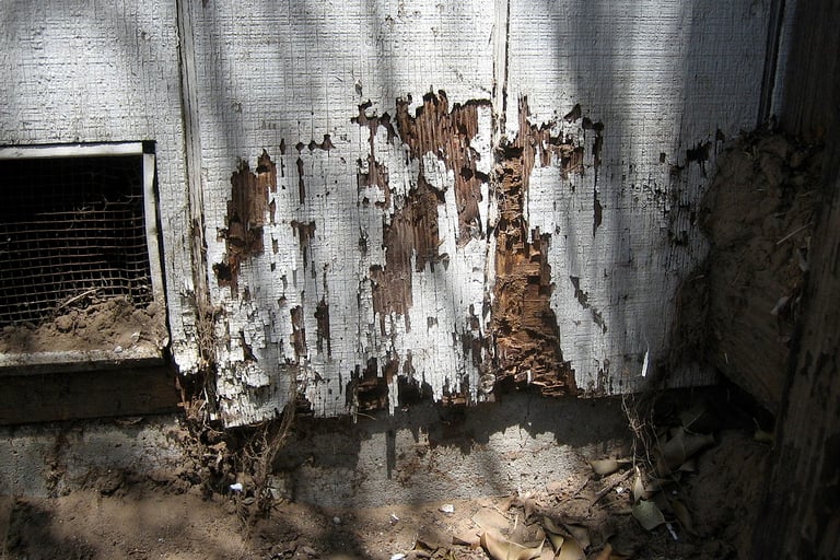 termite damage