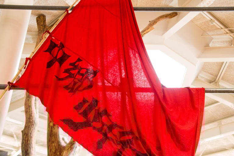 Flag of the Sanrizuka-Shibayama United Opposition League against Narita Airport 