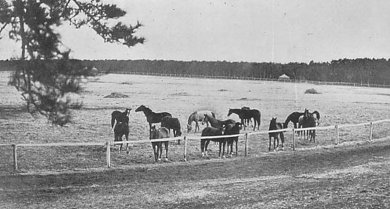 "Goryo Farm" in 1930, where Narita airport was built