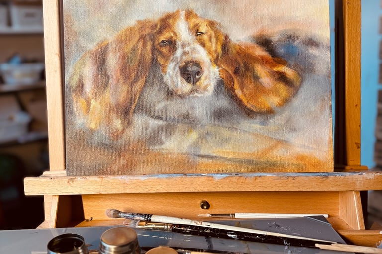 A painting of a Basset Hound I am working on