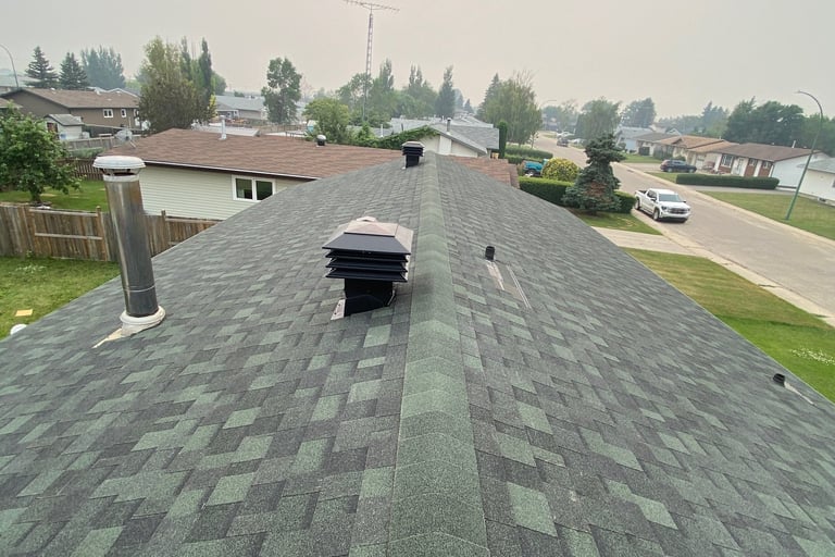 Green Roof replacement in Mission bc