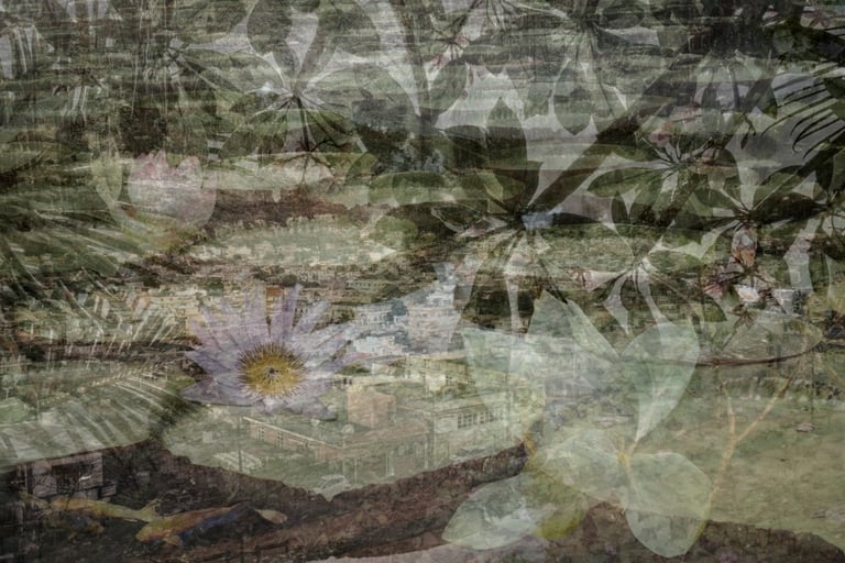 Artistic photo collage of Mauritian landscape and tropical plants, Cape Town Photography Festival 2025.