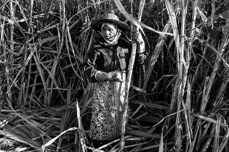 Mauritian woman in traditional attire cutting sugarcane, Cape Town Photography Festival 2025.