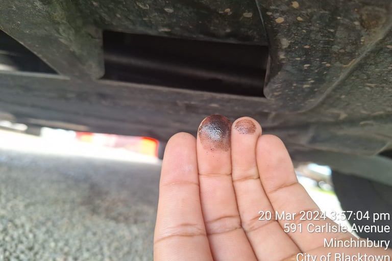  Car Inspection Cronulla
