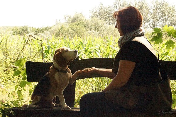 Marion Lindhof mit Beagle Monti. Monti sagt "Guten Tag"