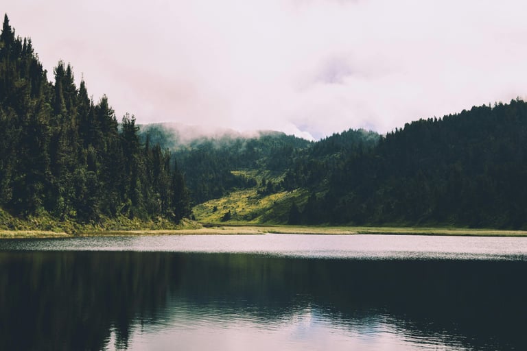 A reservoir with still water and tall green trees on either side, mist gathers towards the sky