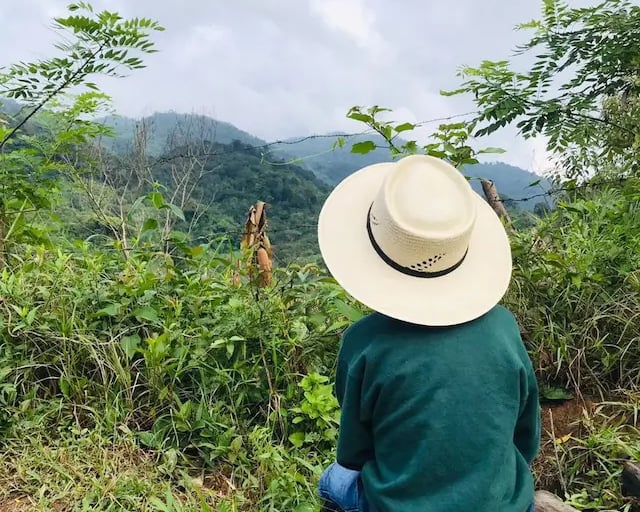 a man in a hat sitting on a log
