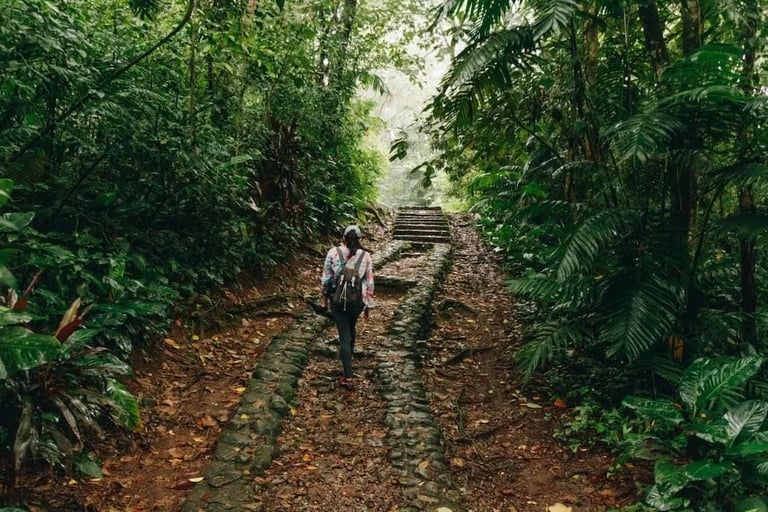 a man walking up a path in the jungle