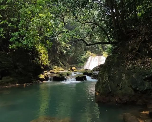 a waterfall in the middle of a forest