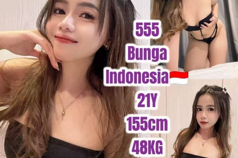 Austin Escort Girl