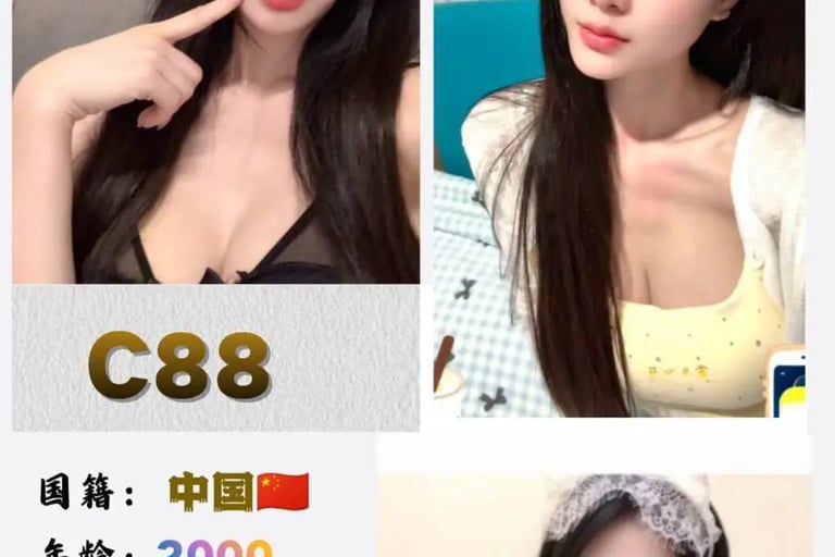 JB中国妹子 新山下水服务