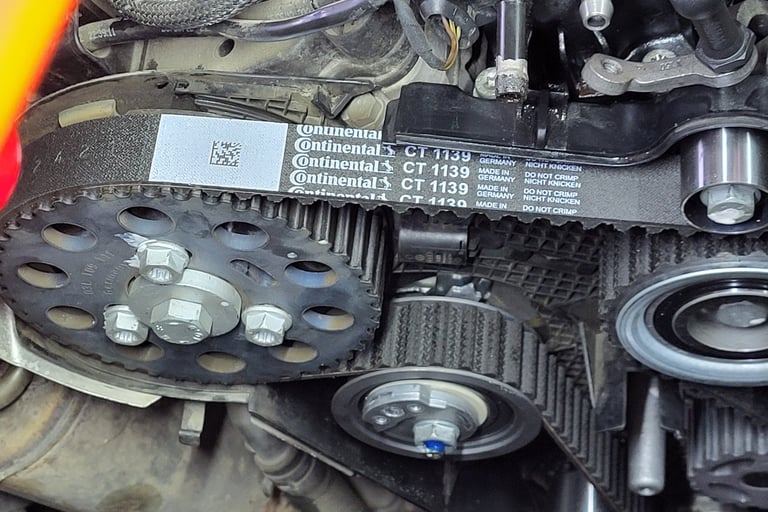 premium golem servis continental set rebrast kaish skopje 