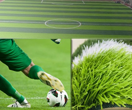 Futsal/Mini Soccer