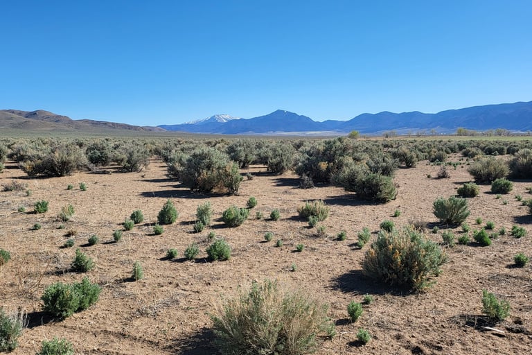 20 acres of land recently sold for $95,000 by Walker River Basin Realty.