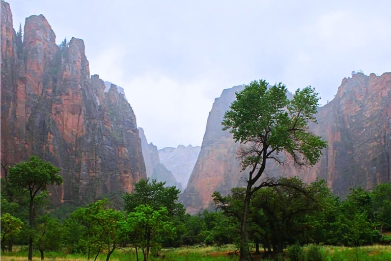Experience the Beauty of the Virgin River and Hanging Gardens The Riverside Walk trail follows the serene Virgin River, offe