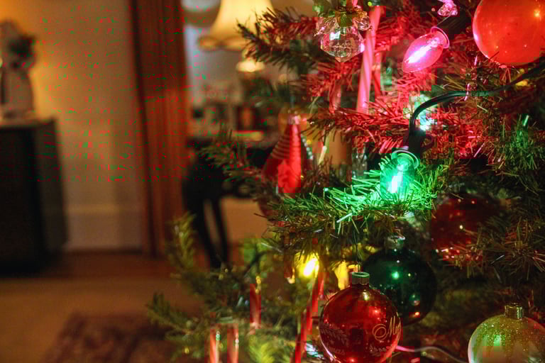 Step Back in Time: A 1950s Christmas at the Eisenhower National Historic Site