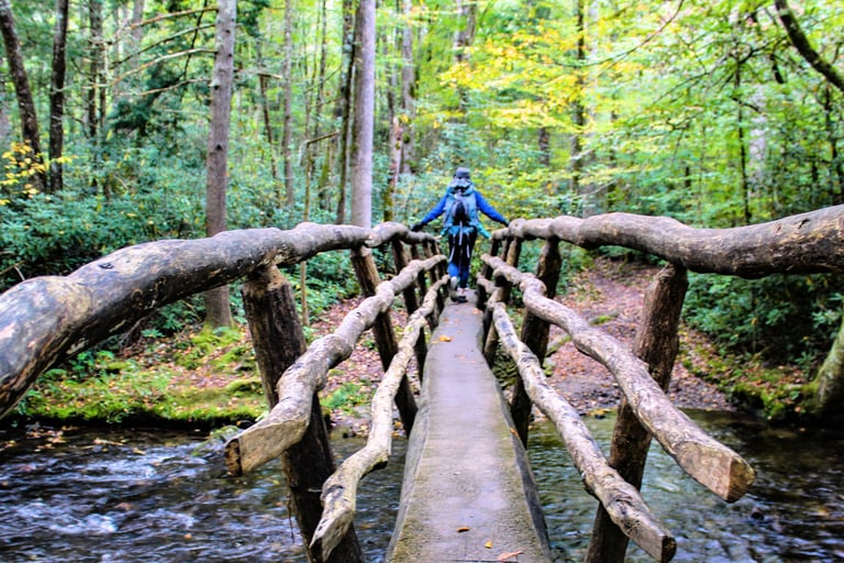 Great Smoky Mountains National Park