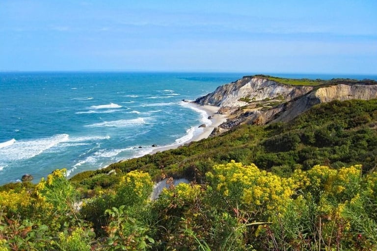 a view of a beach with a view of the ocean