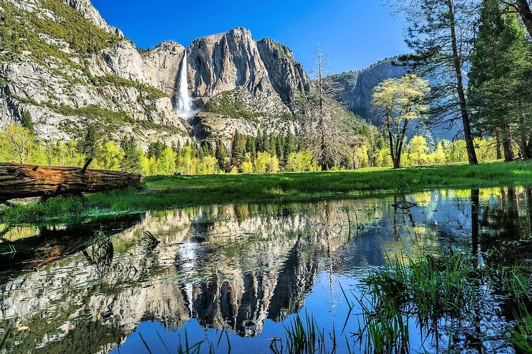 Yosemite National Park