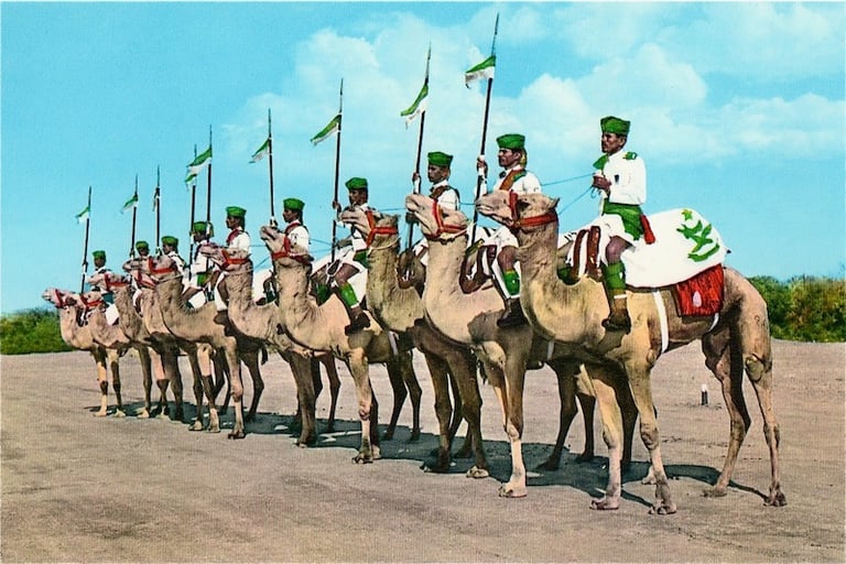 Aden Protectorate Levies
