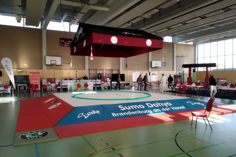 Photo du dohyo légèrement surélevé utilisé à Brandebourg sur la Havel
