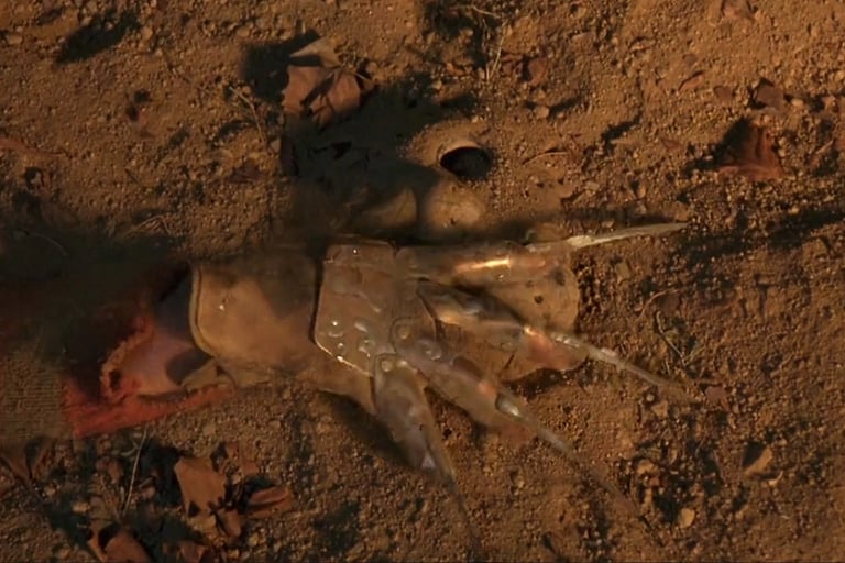 Freddy's hand grabs Jason's mask - Kane Hodder