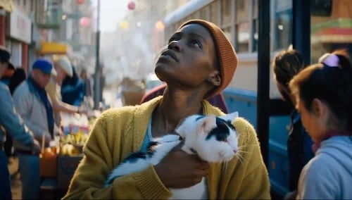 Lupita Nyong'o as Samira and her weird cat.