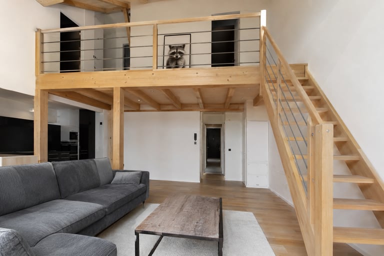 Mezzanine et escalier duplex